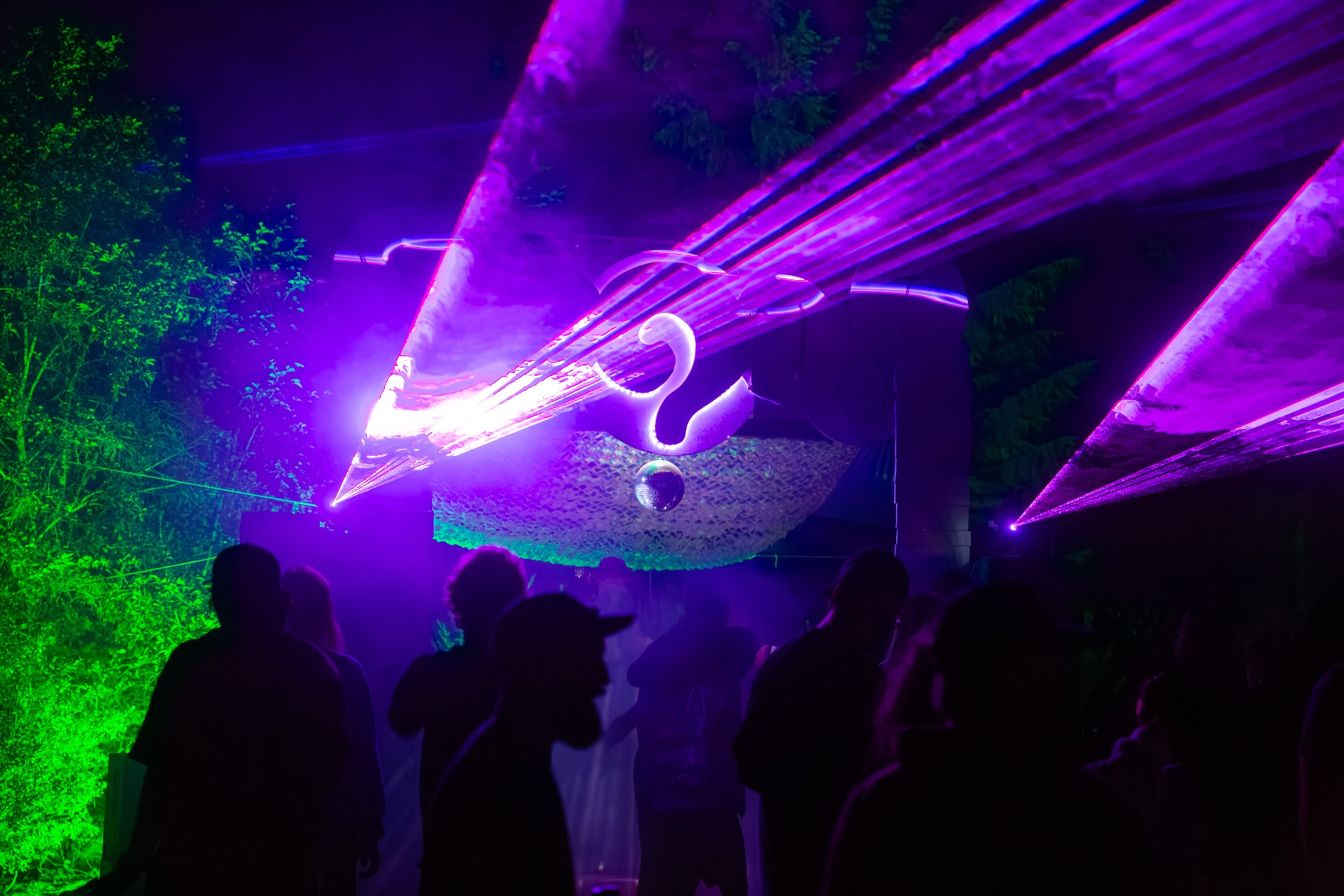 WHYNOT Campout forest vibes