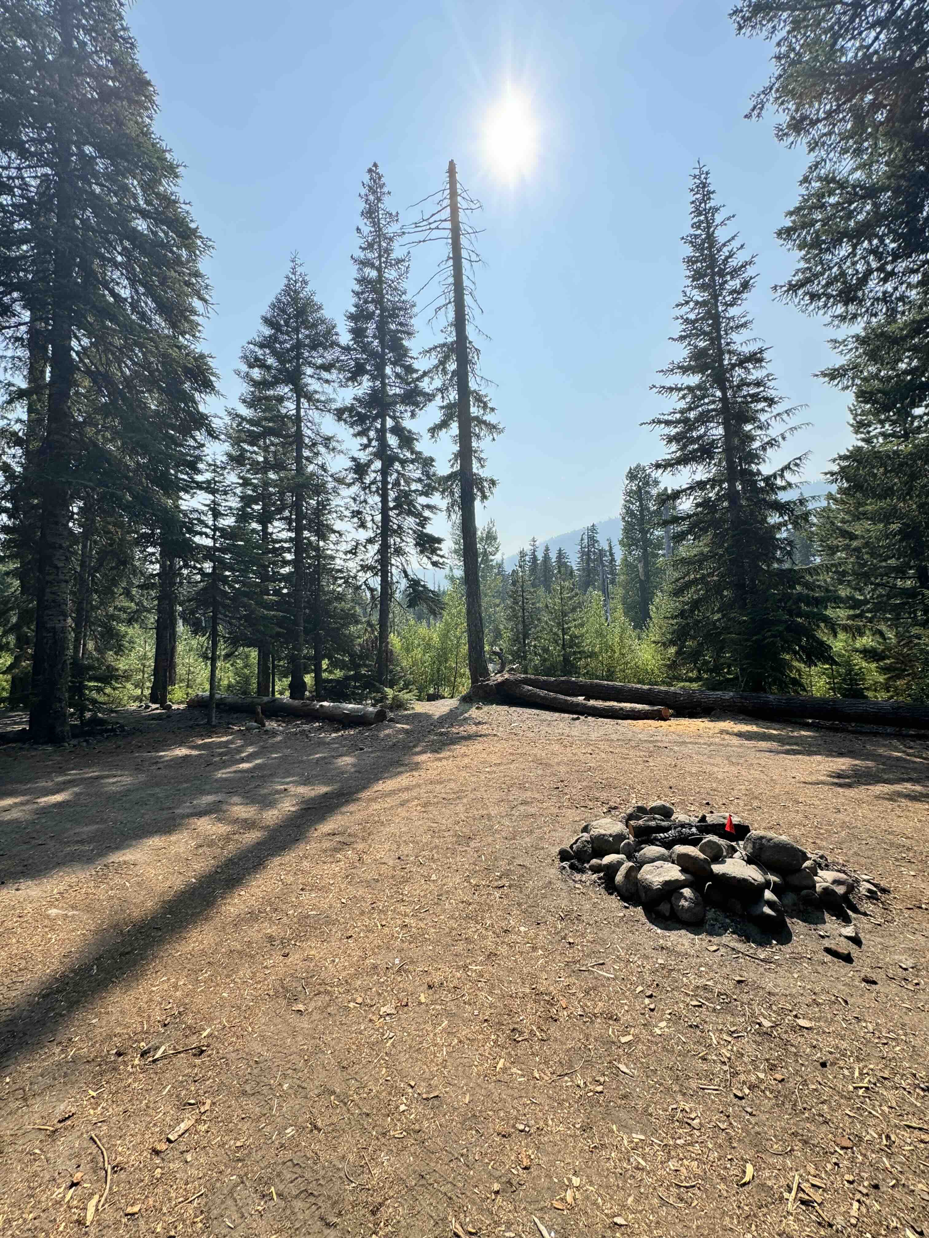 Forest campsite area