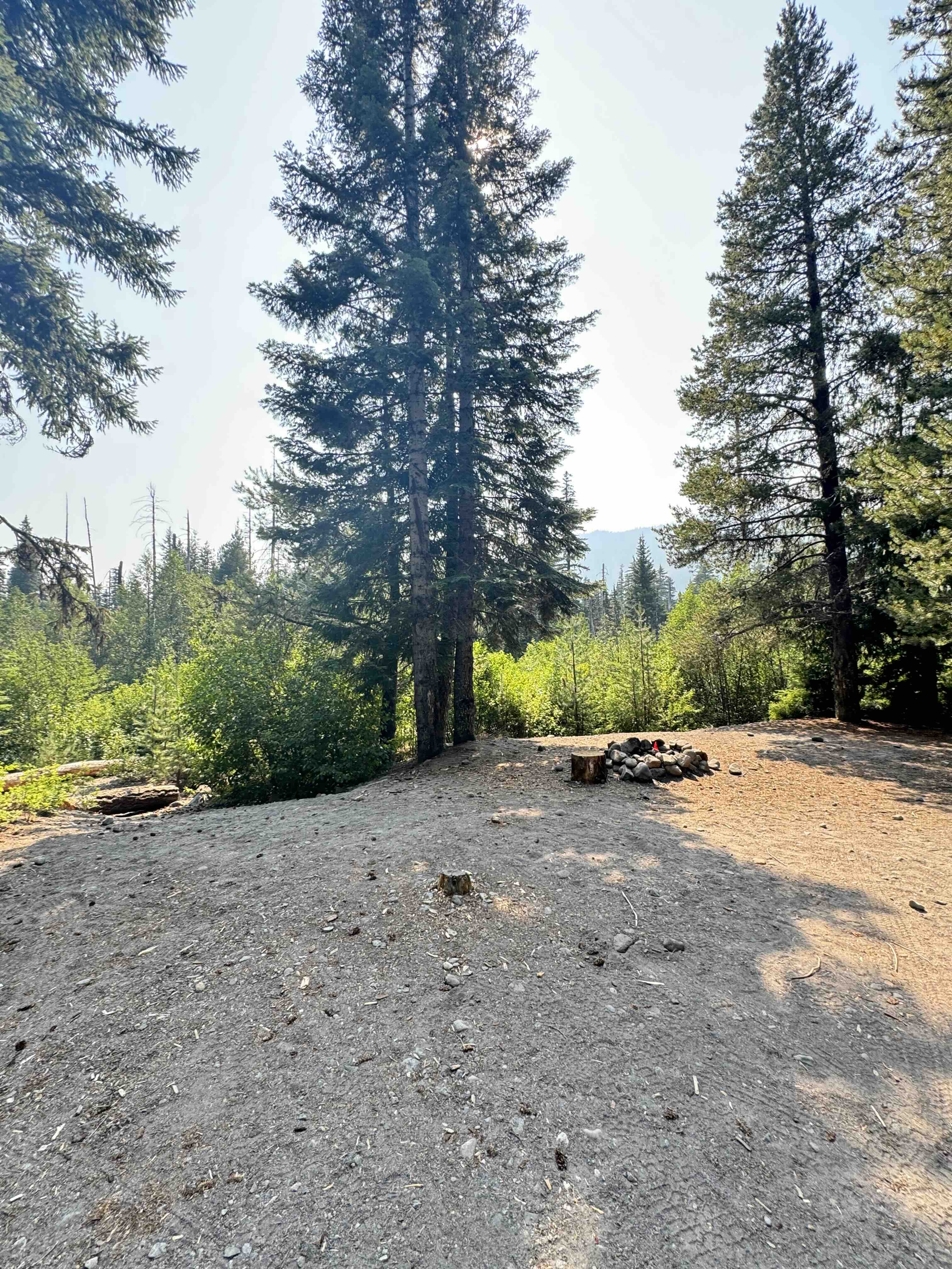 Forest path and camp surroundings